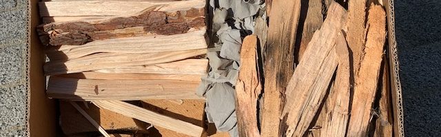 IMG_9651